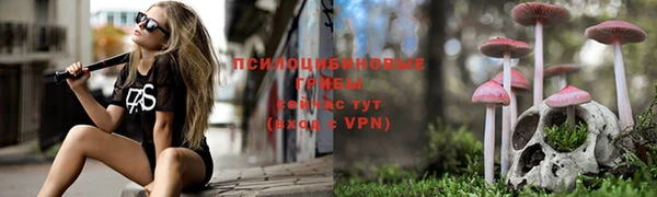 каннабис Алексин