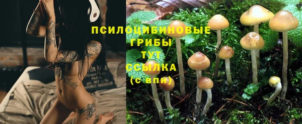 ALPHA PVP Алзамай