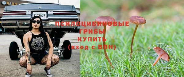 ALPHA PVP Алзамай
