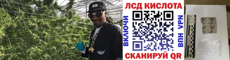 Марки N-bome 1500мкг хочу наркоту Лукоянов