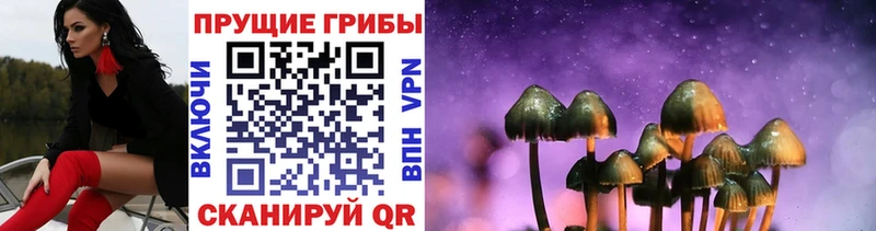 Псилоцибиновые грибы Psilocybe  Лукоянов 