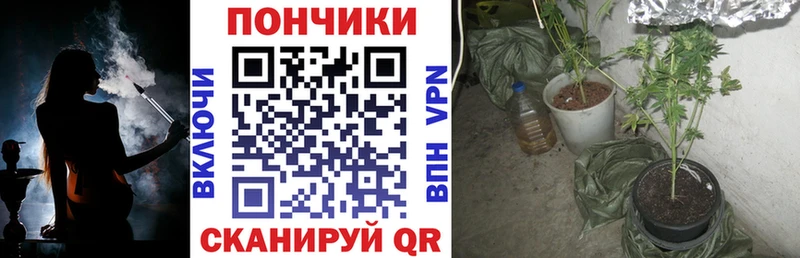 Канабис сатива  Лукоянов 